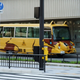 Image for article titled These Real Totoro Catbuses Will Delight You
